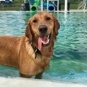 Meet your Posher, Chrissy